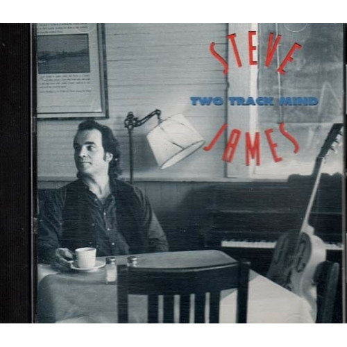 Two Track Mind ~ Steve James ~ Blues ~ CD ~ Used VG