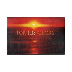 For His Glory ~ Susan Howard ~ Christian ~ Gospel ~ Cassette ~ Good