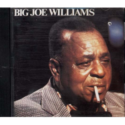 Big Joe Williams ~ Big Joe Williams ~ Jazz - Blues ~ CD ~ Used VG