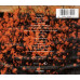 Wild Seed - Wild Flower ~ Dionne Farris ~ Rock ~ CD ~ Acceptable