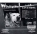 Lucky Catatonia ~ Windopane ~ Rock ~ CD ~ Used VG