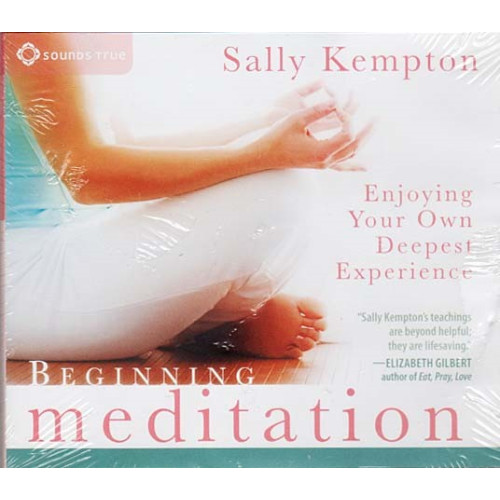 Beginning Meditation ~ Sally Kempton ~ Relaxation ~ CD ~ New