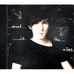 Wind In The Wires ~ Patrick Wolf ~ Electronic ~ CD ~ Good