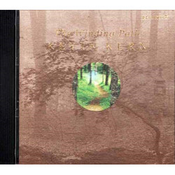 The Winding Path ~ Kevin Kern ~ Electronic ~ CD ~ Good