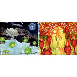 The Sunlandic Twins ~ Of Montreal ~ Rock ~ CD ~ Good