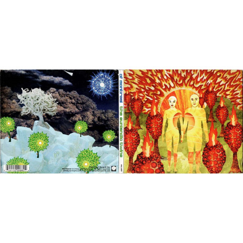 The Sunlandic Twins ~ Of Montreal ~ Rock ~ CD ~ Good