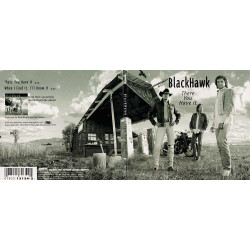 There You Have It ~ Blackhawk ~ Folk, World, & Country ~ Single ~ CD ~ Used VG