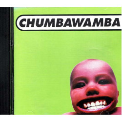Tubthumper ~ Chumbawamba ~ Electronic ~ CD ~ Used VG