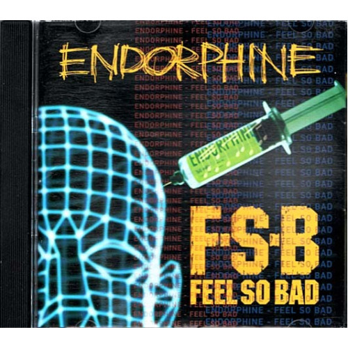 Endorphine ~ Feel So Bad ~ Rock ~ CD ~ Used VG