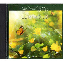 Simply Luminous ~ Silver ~ Folk, World, & Country ~ CD ~ Used VG