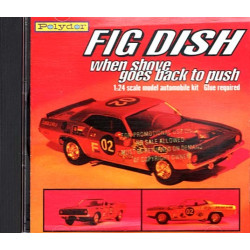 When Shove Goes Back To Push ~ Fig Dish ~ Rock ~ CD ~ Used VG