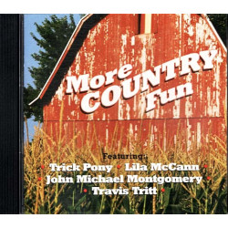 More Country Fun ~ Various Artists ~ Folk, World, & Country ~ CD ~ Good