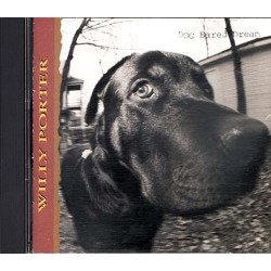 Dog Eared Dream ~ Willy Porter ~ Rock ~ CD ~ Used VG
