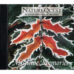Mistletoe Memories ~ The Patrick Nelson Collective ~ Electronic ~ CD ~ Good