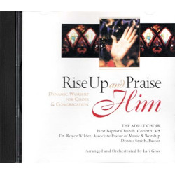 Rise Up and Praise Him ~ The Adult Choir ~ Christian ~ CD ~ Used VG