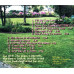Songs of Peace and Rest for the Soul ~ Therese Moller Sapone ~ Christian CD Good